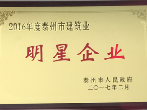 2016年度泰州市建築業(yè)明星企業(yè)